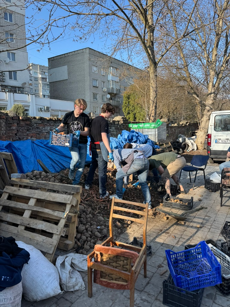Sorting potatoes at the Lviv volunteer kitchen