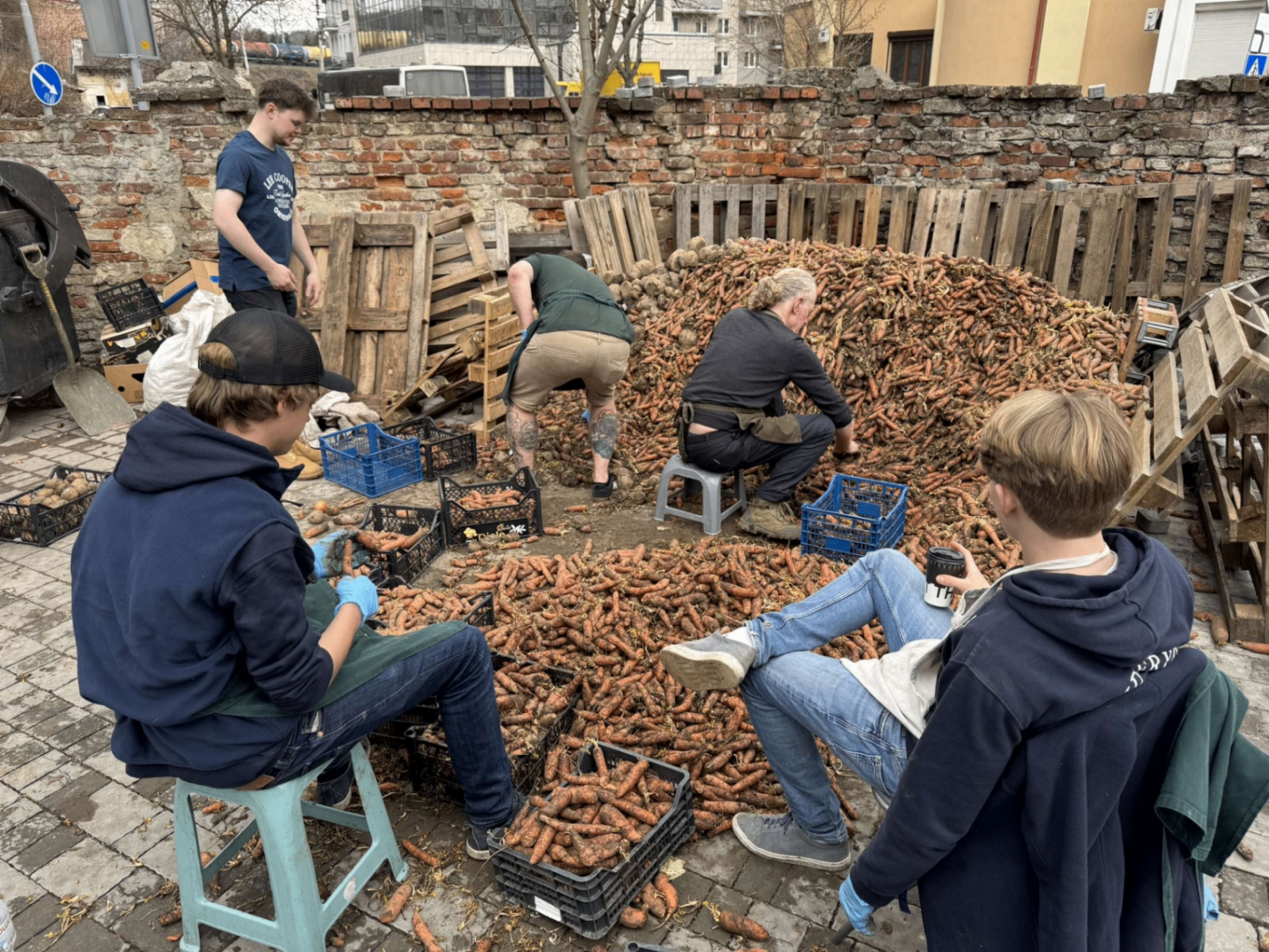 Volunteers sorting carrots in Lviv